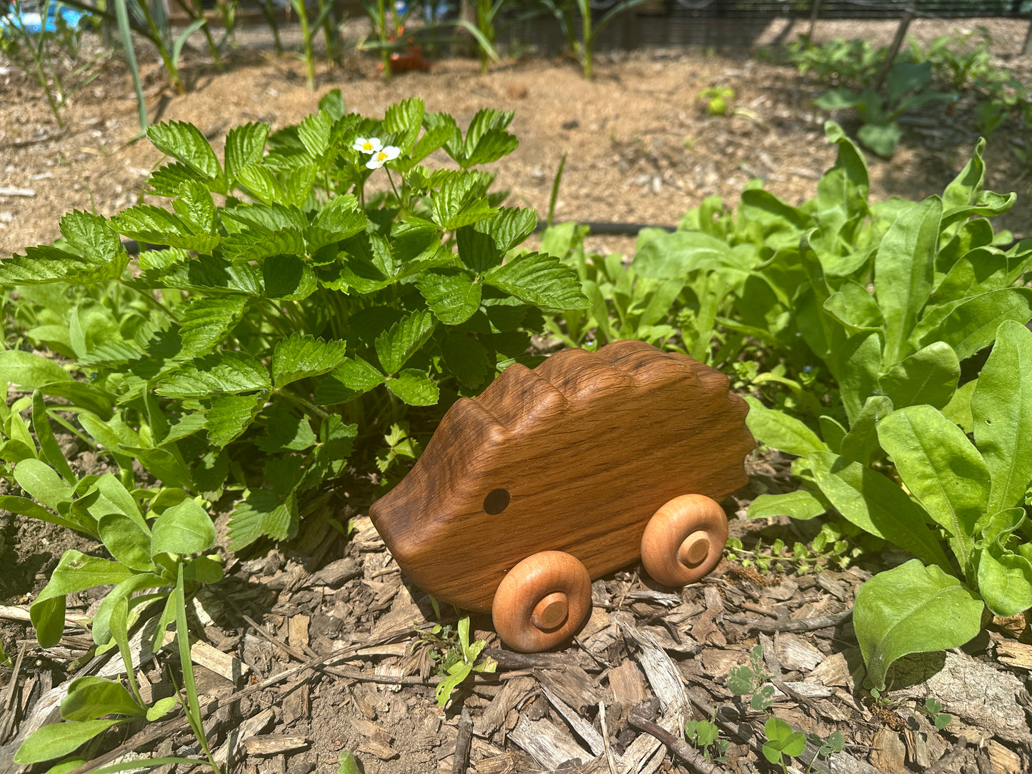 Handmade Hedgehog Wooden Push or Pull Toy